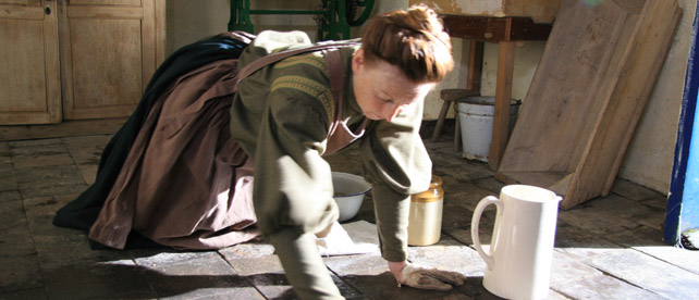 Edwardian Farm at Morwellham Quay - 12 episodes showing on BBC 2 every Wednesday at 8pm