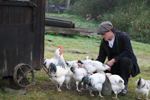 Feeding the chickens on the Edwardian Farm - Morwellham Quay